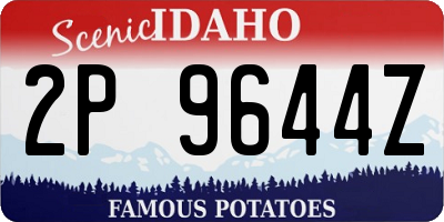 ID license plate 2P9644Z
