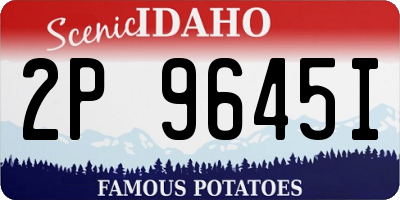 ID license plate 2P9645I