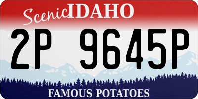 ID license plate 2P9645P
