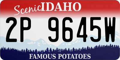 ID license plate 2P9645W