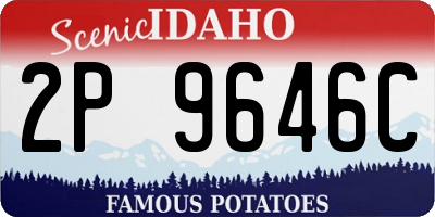 ID license plate 2P9646C