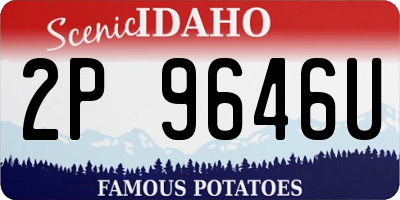 ID license plate 2P9646U