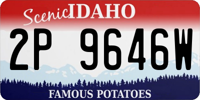 ID license plate 2P9646W
