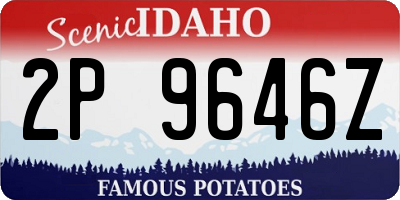 ID license plate 2P9646Z