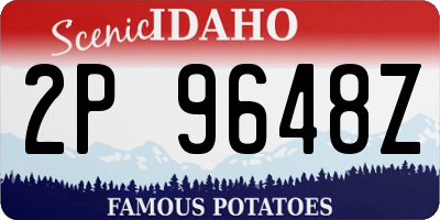 ID license plate 2P9648Z