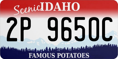 ID license plate 2P9650C