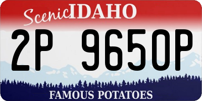 ID license plate 2P9650P