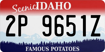 ID license plate 2P9651Z