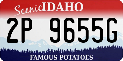ID license plate 2P9655G