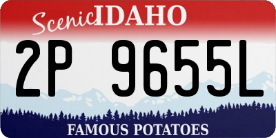 ID license plate 2P9655L