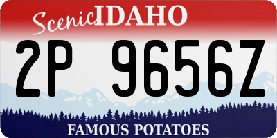ID license plate 2P9656Z