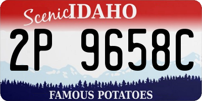 ID license plate 2P9658C