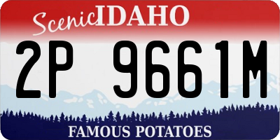 ID license plate 2P9661M