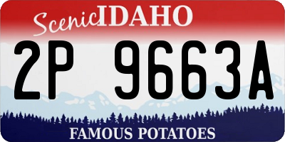 ID license plate 2P9663A