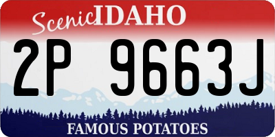 ID license plate 2P9663J