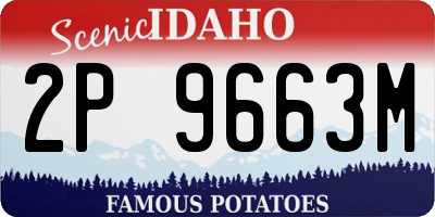 ID license plate 2P9663M