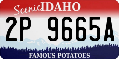 ID license plate 2P9665A