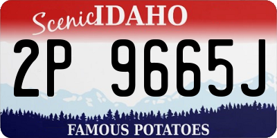 ID license plate 2P9665J