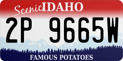 ID license plate 2P9665W