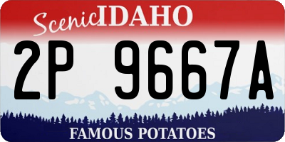 ID license plate 2P9667A