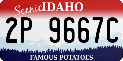 ID license plate 2P9667C