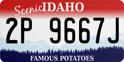 ID license plate 2P9667J