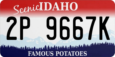ID license plate 2P9667K