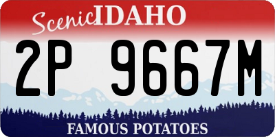 ID license plate 2P9667M