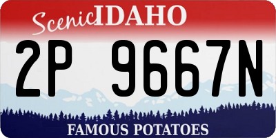 ID license plate 2P9667N
