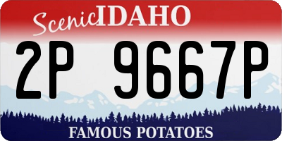 ID license plate 2P9667P