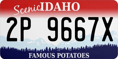 ID license plate 2P9667X