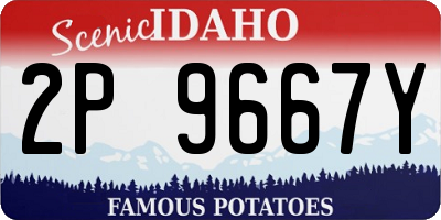 ID license plate 2P9667Y