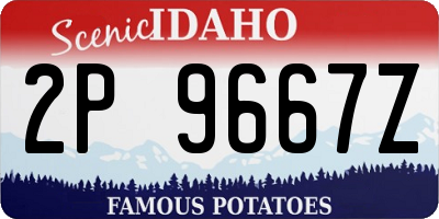ID license plate 2P9667Z
