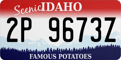 ID license plate 2P9673Z