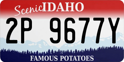 ID license plate 2P9677Y