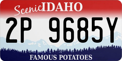 ID license plate 2P9685Y