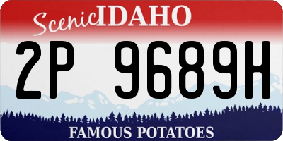 ID license plate 2P9689H
