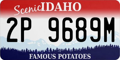 ID license plate 2P9689M