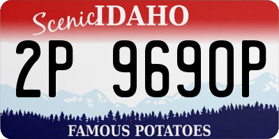 ID license plate 2P9690P