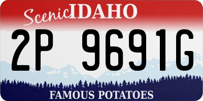 ID license plate 2P9691G