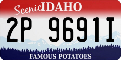 ID license plate 2P9691I