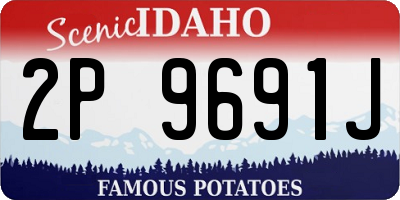 ID license plate 2P9691J