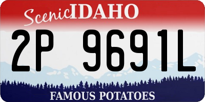 ID license plate 2P9691L