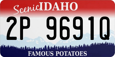 ID license plate 2P9691Q