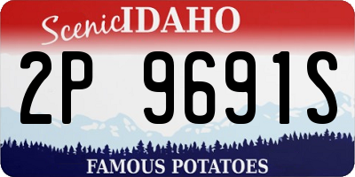 ID license plate 2P9691S