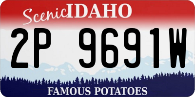 ID license plate 2P9691W