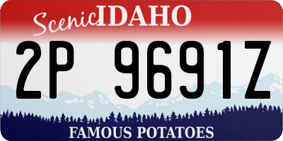ID license plate 2P9691Z