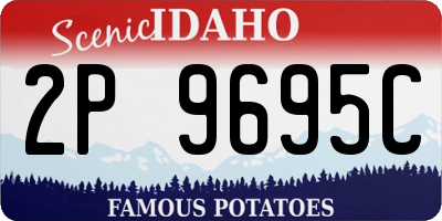 ID license plate 2P9695C