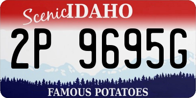ID license plate 2P9695G