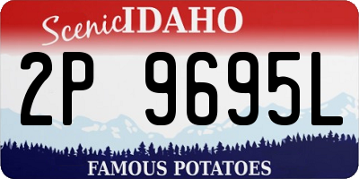 ID license plate 2P9695L